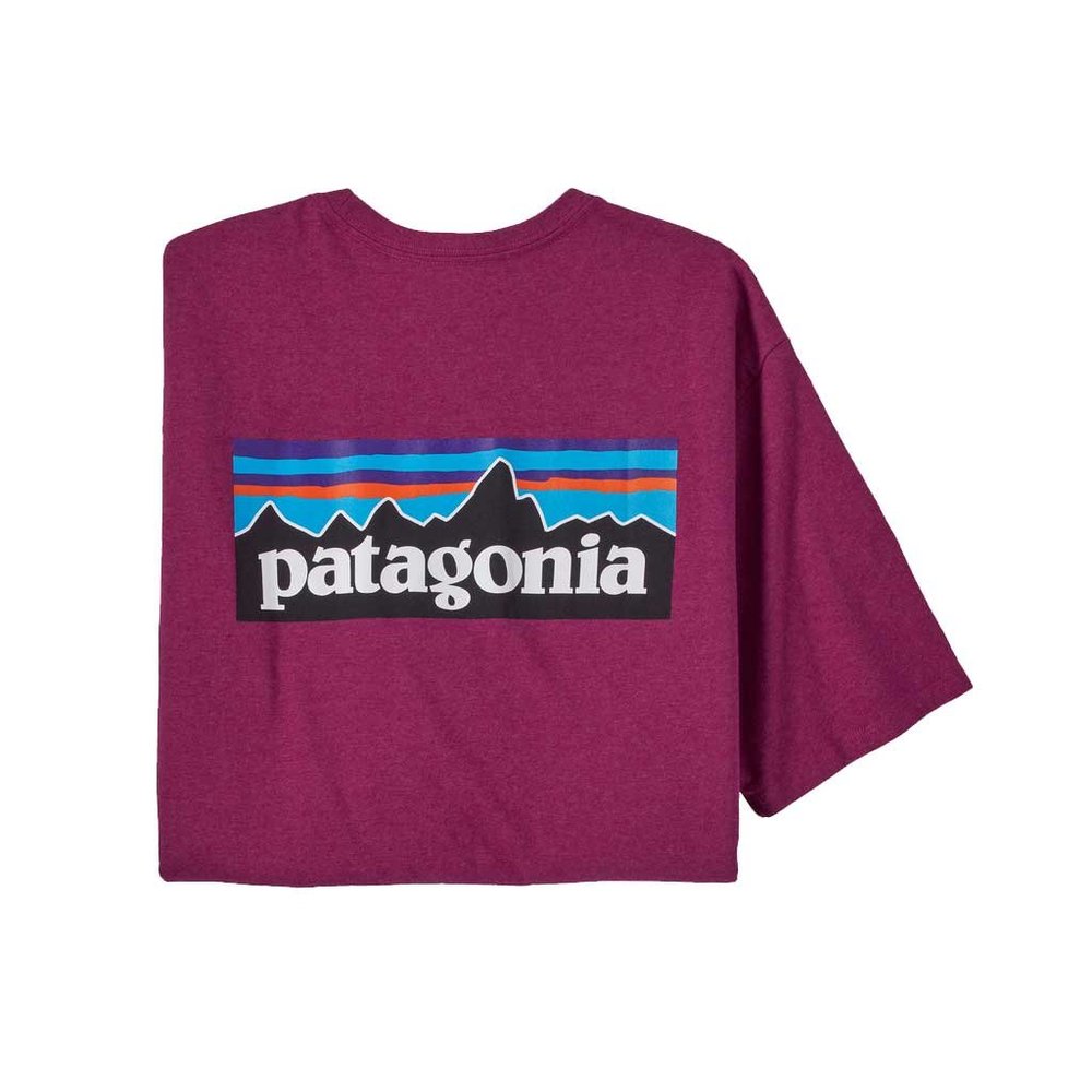 Patagonia Men's Tee XL